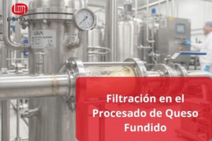 Filtración en el Procesado de Queso Fundido